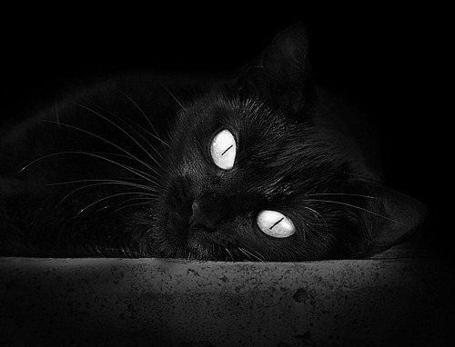 世界杯巅峰亮相：精彩不断，惊喜连连！，世界杯最经典比赛