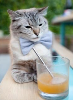 世界杯中国队晋级 球员士气高涨，世界杯中国队怎么样