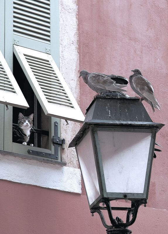 东亚杯中国足球战平 球迷表达冷静看法，东亚杯国足大名单